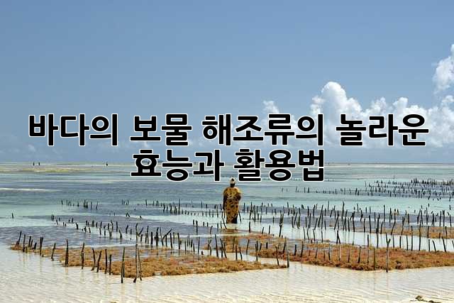 바다의 보물, 해조류의 놀라운 효능과 활용법!