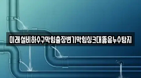 미래설비하수구막힘출장변기막힘싱크대뚫음누수탐지