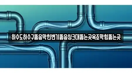 하수도하수구뚫음막힌변기뚫음싱크대뚫는곳욕조막힘뚫는곳