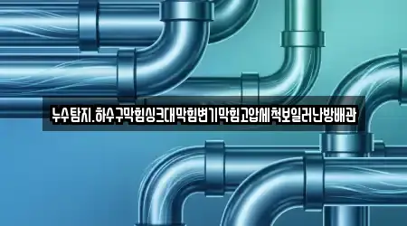 누수탐지.하수구막힘싱크대막힘변기막힘고압세척보일러난방배관