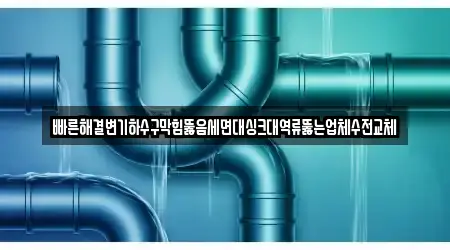 빠른해결변기하수구막힘뚫음세면대싱크대역류뚫는업체수전교체