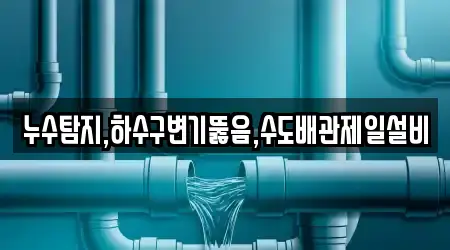 누수탐지,하수구변기뚫음,수도배관제일설비