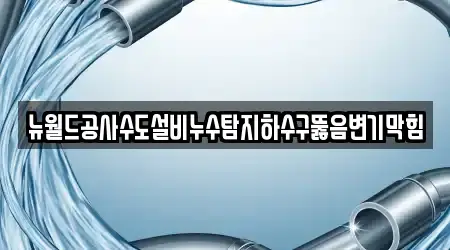 뉴월드공사수도설비누수탐지하수구뚫음변기막힘