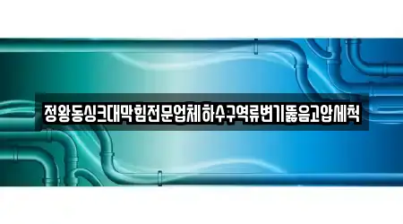 정왕동싱크대막힘전문업체하수구역류변기뚫음고압세척
