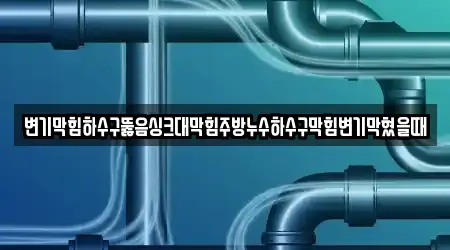변기막힘하수구뚫음싱크대막힘주방누수하수구막힘변기막혔을때