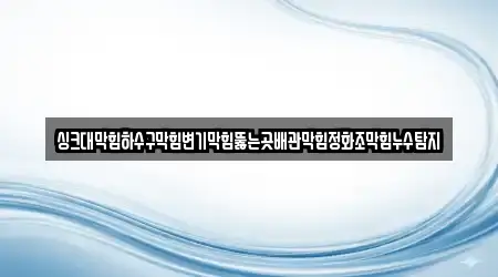 싱크대막힘하수구막힘변기막힘뚫는곳배관막힘정화조막힘누수탐지