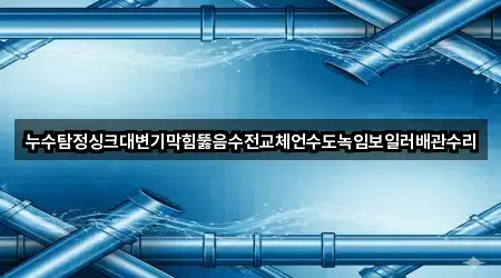 누수탐정싱크대변기막힘뚫음수전교체언수도녹임보일러배관수리