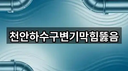 천안하수구변기막힘뚫음