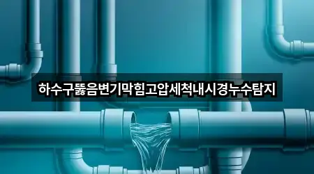 하수구뚫음변기막힘고압세척내시경누수탐지