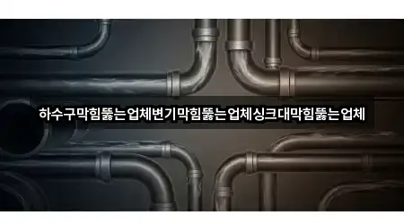 하수구막힘뚫는업체변기막힘뚫는업체싱크대막힘뚫는업체