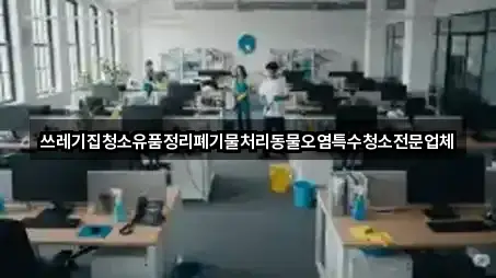 대전 동구 소호동 청소 5곳 위치 열람