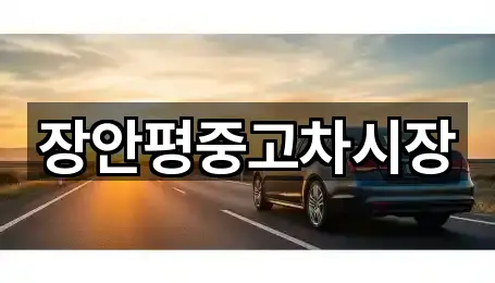 중고차 최신 리스트 3곳