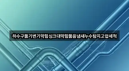 하수구뚫기변기막힘싱크대막힘뚫음냄새누수탐지고압세척