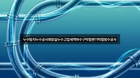 누수탐지누수공사화장실누수고압세척하수구막힘변기막힘방수공사