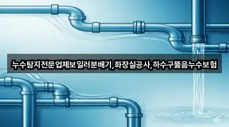 누수탐지전문업체보일러분배기,화장실공사,하수구뚫음누수보험