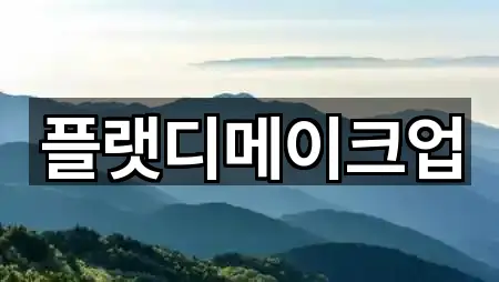 플랫디메이크업