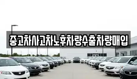 강원특별자치도 춘천시 온의동 중고차 전문 중고차사고차노후차량수출차량매입