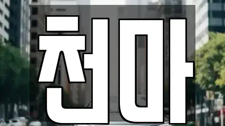 경남 거제시 연초면 렌트카 전문 천마