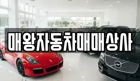 경남 거제시 연초면 중고차매매 전문 매왕자동차매매상사