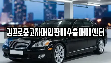 경남 거제시 연초면 중고차매입 전문 김프로중고차매입판매수출매매센터