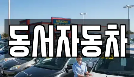 경상남도 의령군 지정면 중고차 전문 동서자동차