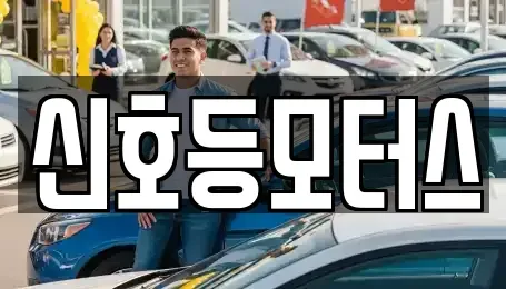 부산광역시 동래구 명장동 중고차 전문 신호등모터스