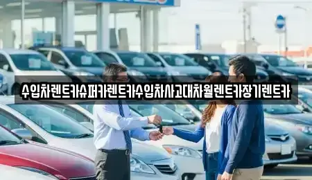 서울 용산구 효창동 렌트카 전문 수입차렌트카슈퍼카렌트카수입차사고대차월렌트카장기렌트카