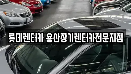 서울 용산구 효창동 장기렌트카 전문 롯데렌터카 용산장기렌터카전문지점