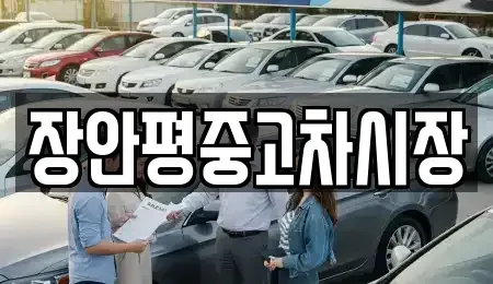 서울 용산구 효창동 중고차 전문 장안평중고차시장