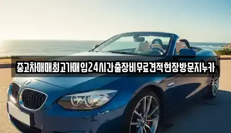 서울 용산구 효창동 중고차 전문 중고차매매최고가매입24시간출장비무료견적현장방문지누카