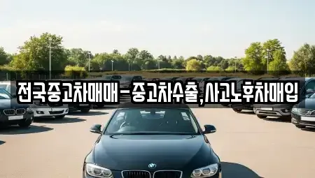 서울 용산구 효창동 중고차매입 전문 전국중고차매매-중고차수출,사고노후차매입