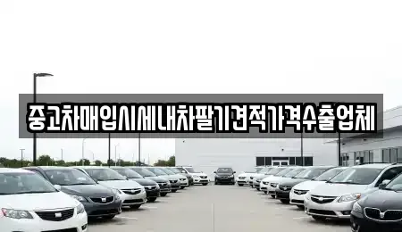 서울 용산구 효창동 중고차매입 전문 중고차매입시세내차팔기견적가격수출업체