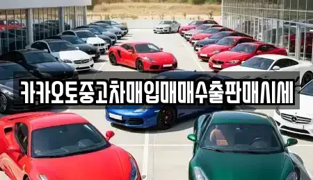 서울 용산구 효창동 중고차매입 전문 카카오토중고차매입매매수출판매시세