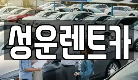 세종 소담동 렌트카 전문 성운렌트카