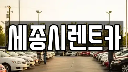 세종 소담동 장기렌트카 전문 세종시렌트카