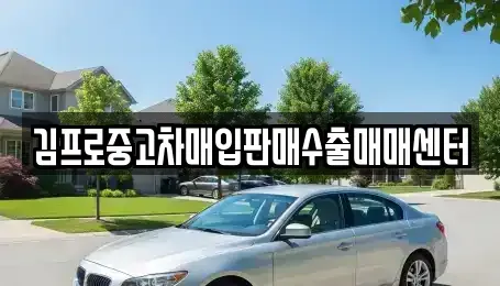세종 소담동 중고차 전문 김프로중고차매입판매수출매매센터