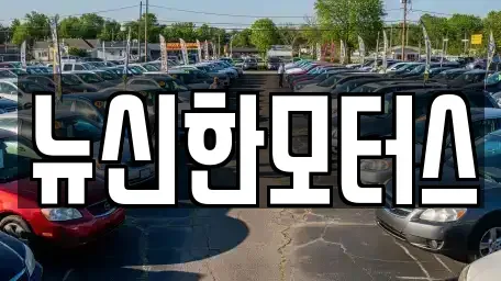 세종 소담동 중고차 전문 뉴신한모터스